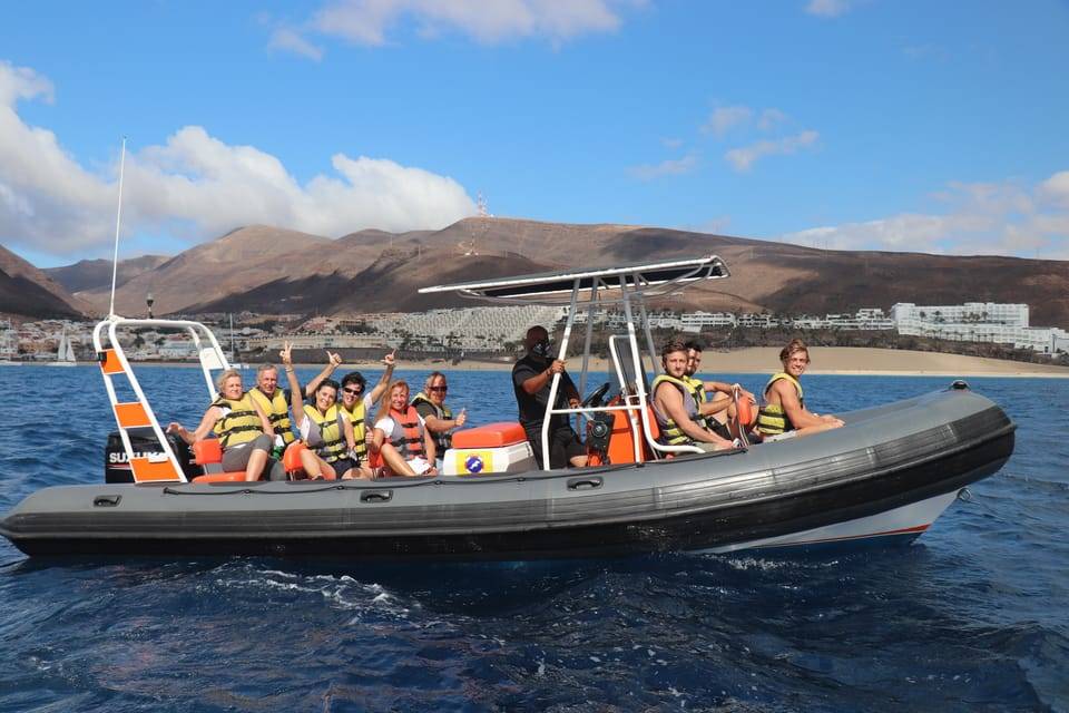 Dolphin and Whale Watching by Speedboat