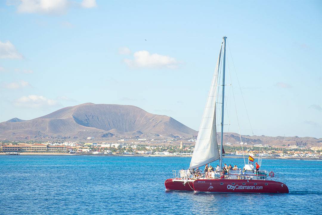 Lobos Island Catamaran Trip with Lunch