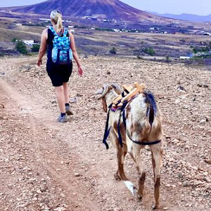 Guided Trekking Tour with Island Goats