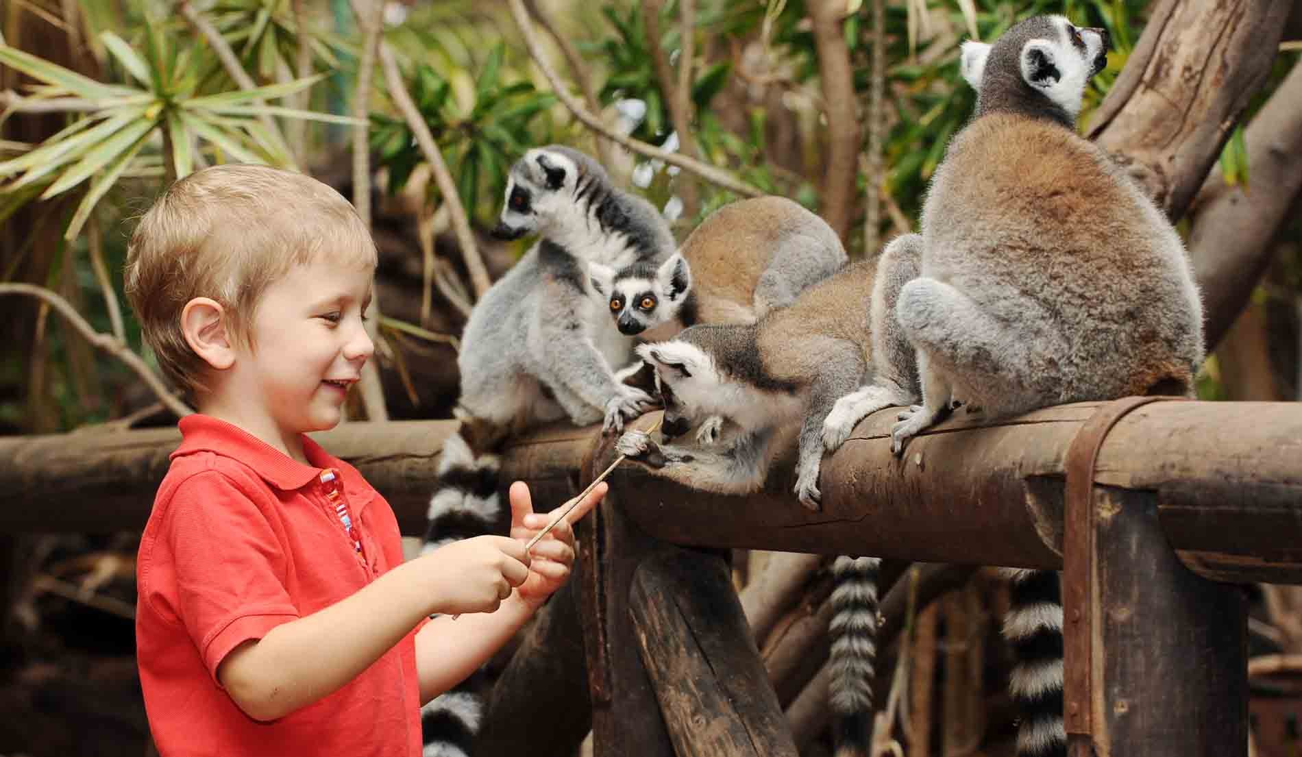 Oasis Park-Fuerteventura Zoo Day Trip