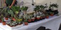 Artisan Market, Tetir Artisan Market, Tetir