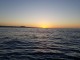 Boat Fishing in Fuerteventura