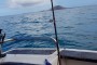 Boat Fishing in Fuerteventura