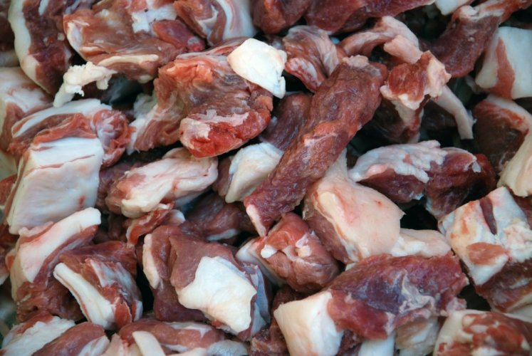 goatmeat goatmeat