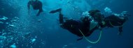 Lobos Island Diving and Snorkelling Trip