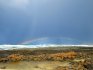 Rainbow at La Concha Beach