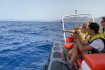 Dolphin and Whale Watching Tour from Costa Calma