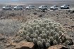 Jeep Safari Cotillo Route from Corralejo