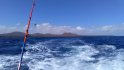 Boat Fishing in Fuerteventura