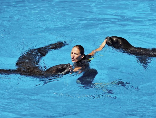 Oasis Wildlife and Sea Lion Experience