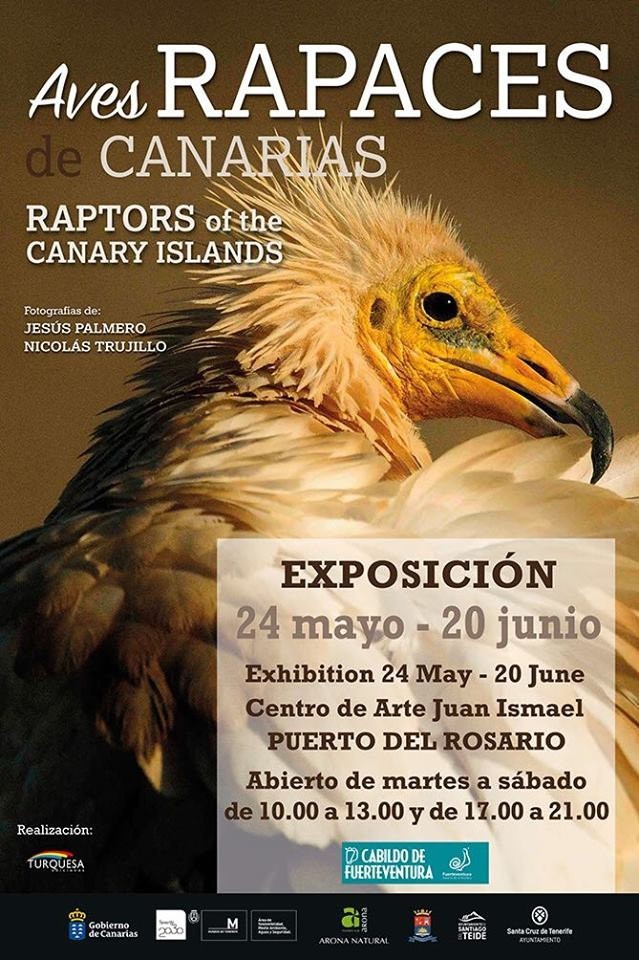 Raptors of the Canary Islands