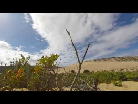 Fuerteventura - Playa Del Salmo - Beach - TimeLapse