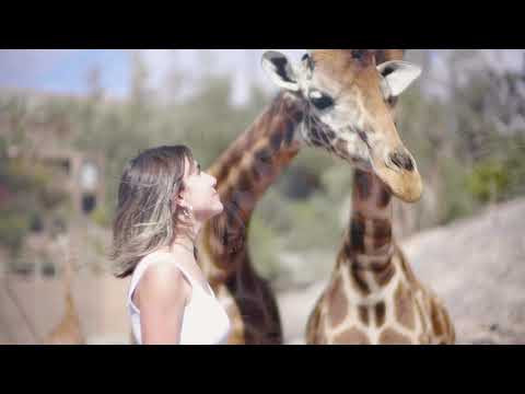 GiraffeExperience, discover leisure with cause.