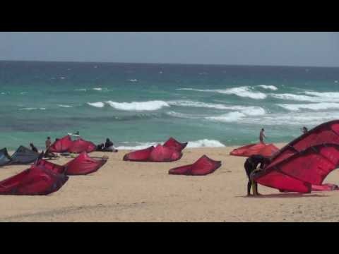 El burro, marzo de 2017 | Fuerteventura