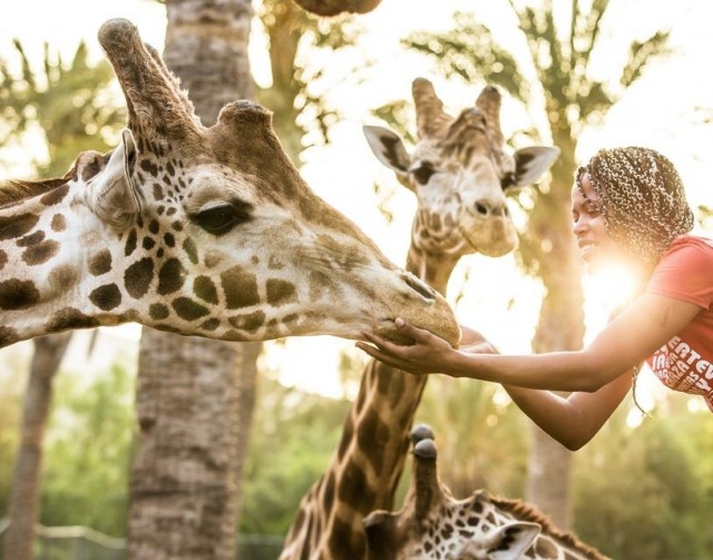 Oasis Wildlife Fuerteventura Day Trip