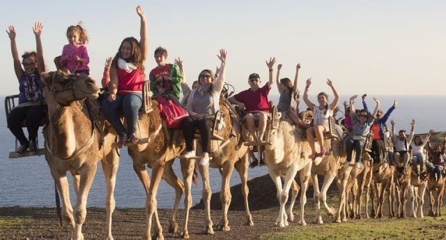 Oasis Wildlife and Camel Experience